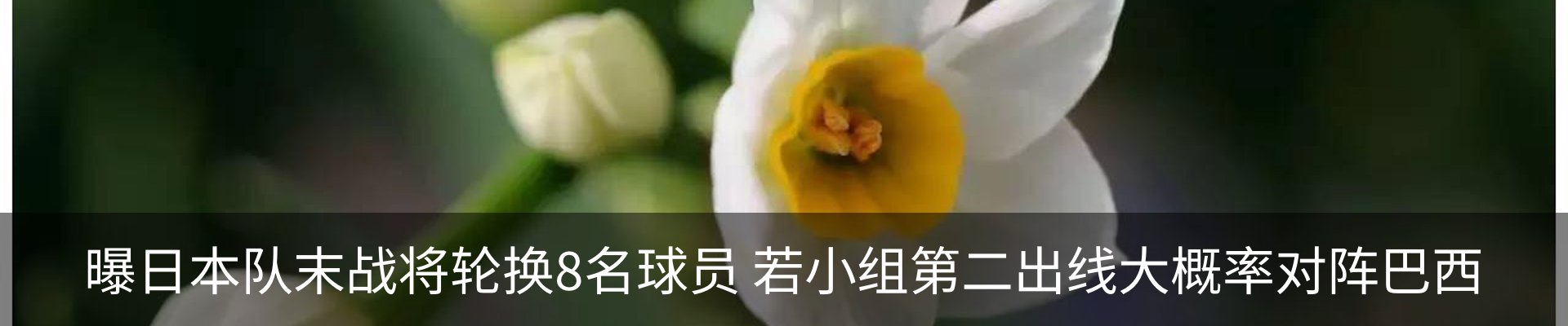 新闻动态